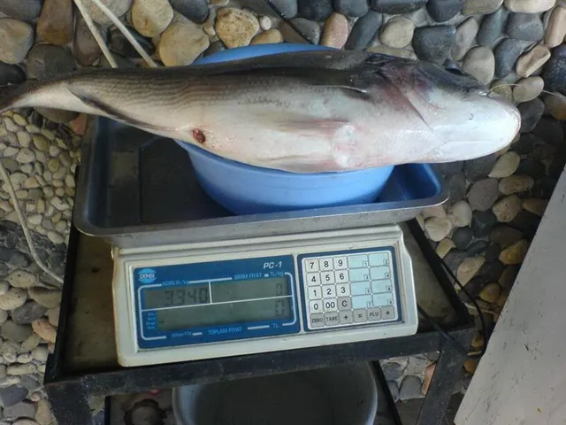 Photos from fishing in Adrasan