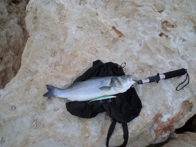 Photos from fishing in Adrasan