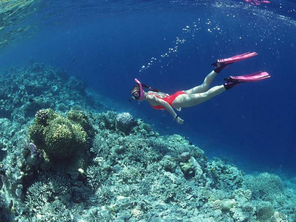 Diving · Margarita Hotel