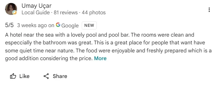 Google guest review, screenshot