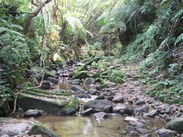Nature hiking around Adrasan