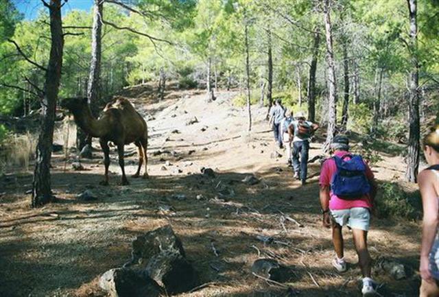 image lycian-way-10-jpg