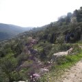 image lycian-way-15-jpg